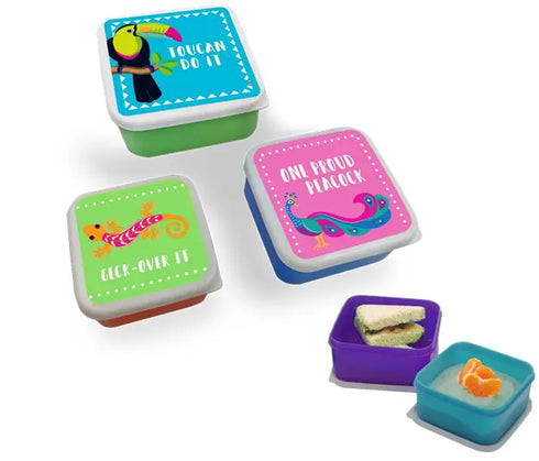 Best Lunch Containers