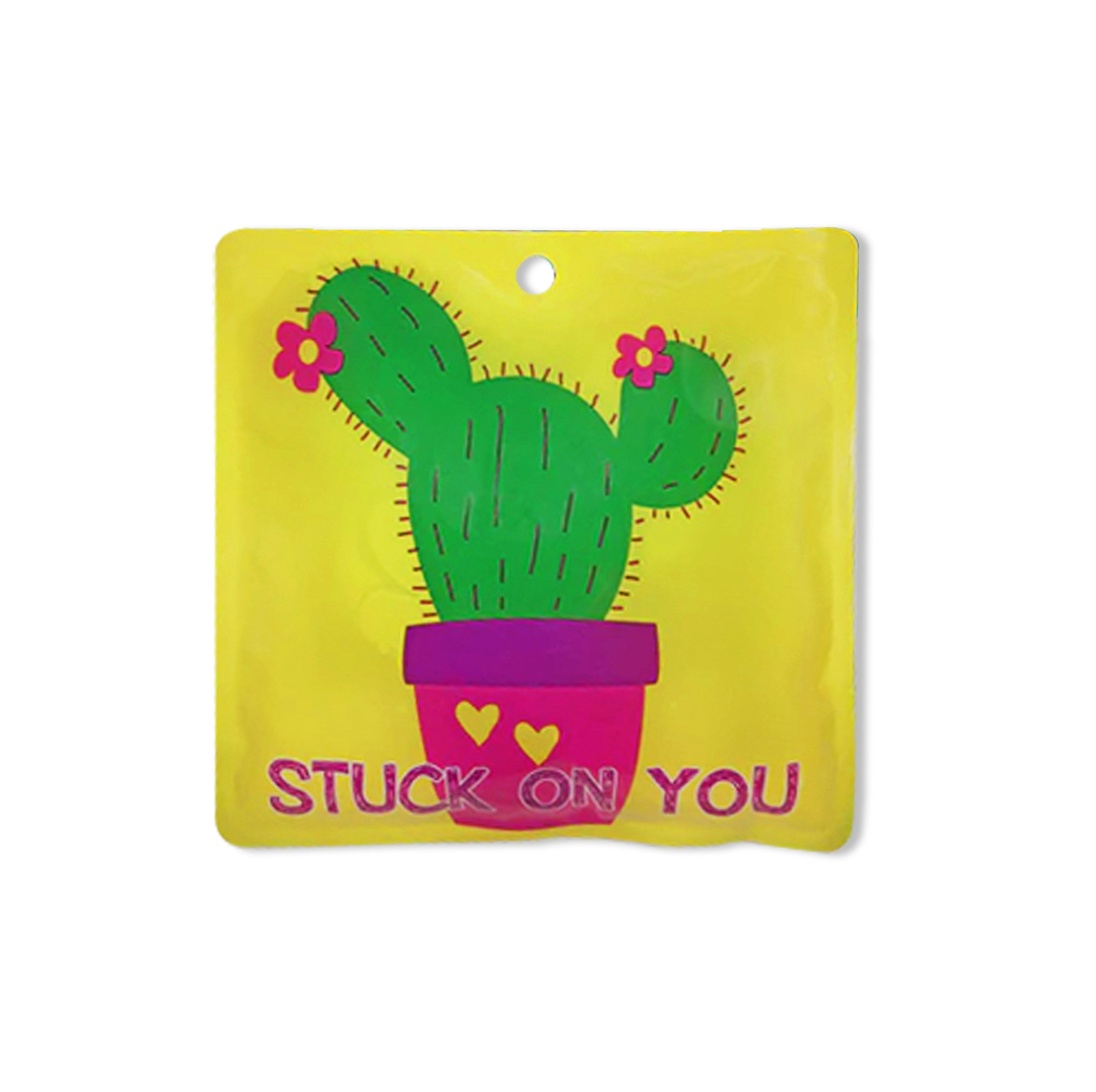 Reusable Ice Sheets - 6 x 6 Cactus